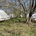 гостиница Polyana Glamping фото 1